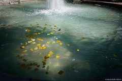 Alain-KHARLAKIAN-EV-01