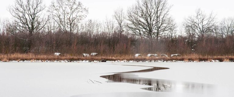 Exposition de Paysage en Paysages - 2025 : Hervé Marijon
