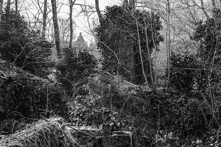 Exposition de Paysage en Paysages - 2025 : Guy Marlot