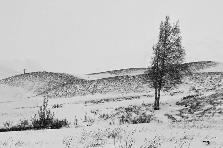 CarlotRenee_PF01_ColLautaret_1746cr4NB