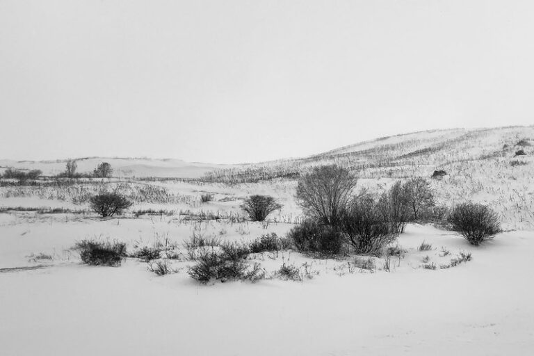 CarlotRenee_PF01_ColLautaret_1799cr4NB