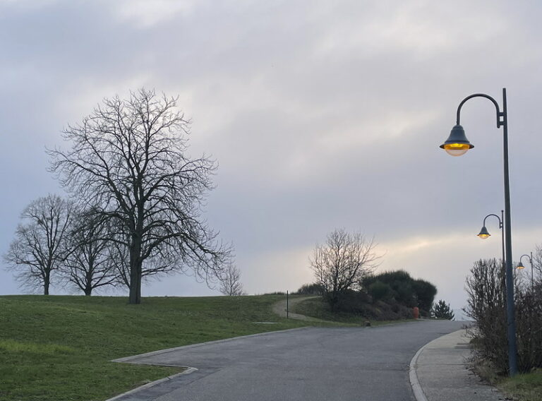 CarlotRenee_PF01_Sainte-Foy-lès-Lyon_1047cr1