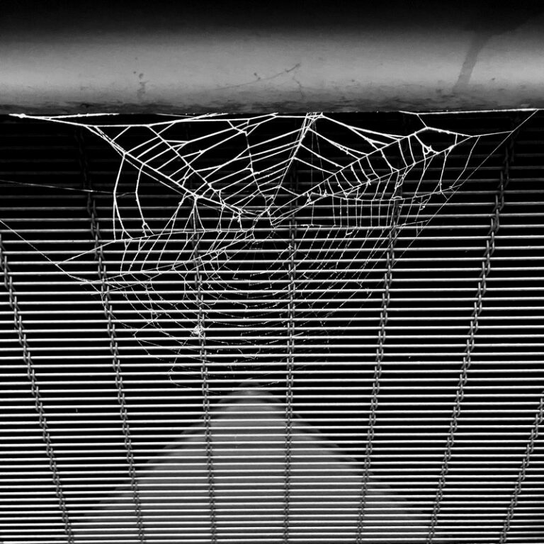 PF01_CarlotYvan_PF01_AraignéeNuitPont_9584cNB